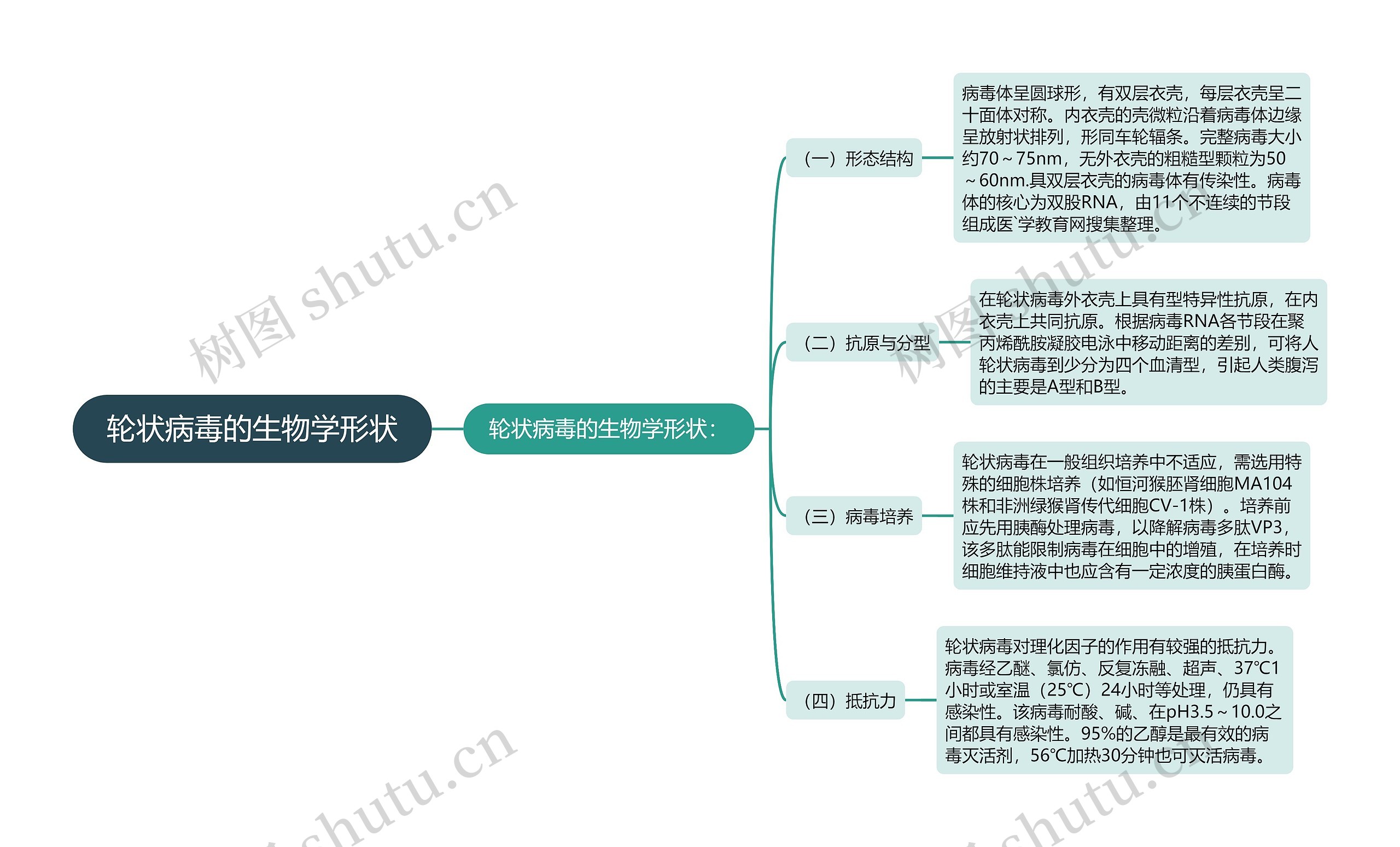 轮状病毒的生物学形状