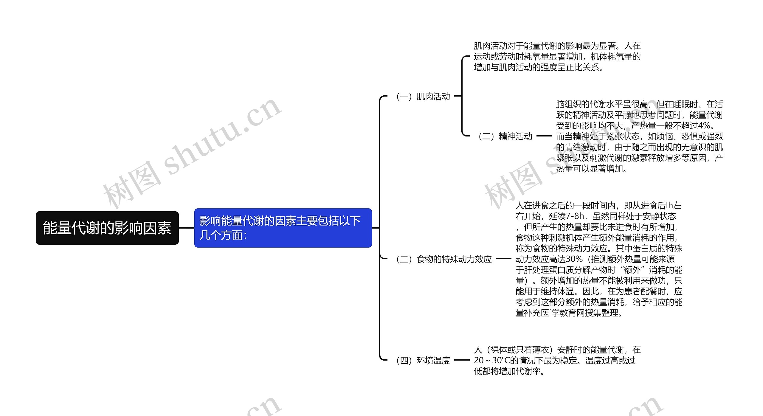 能量代谢的影响因素思维导图