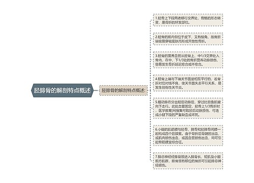 胫腓骨的解剖特点概述