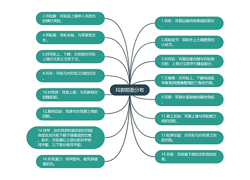 耳郭前面分布