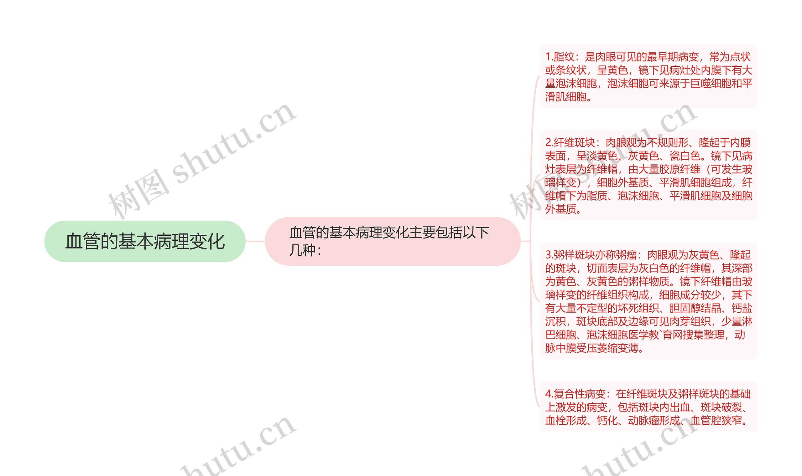 血管的基本病理变化思维导图