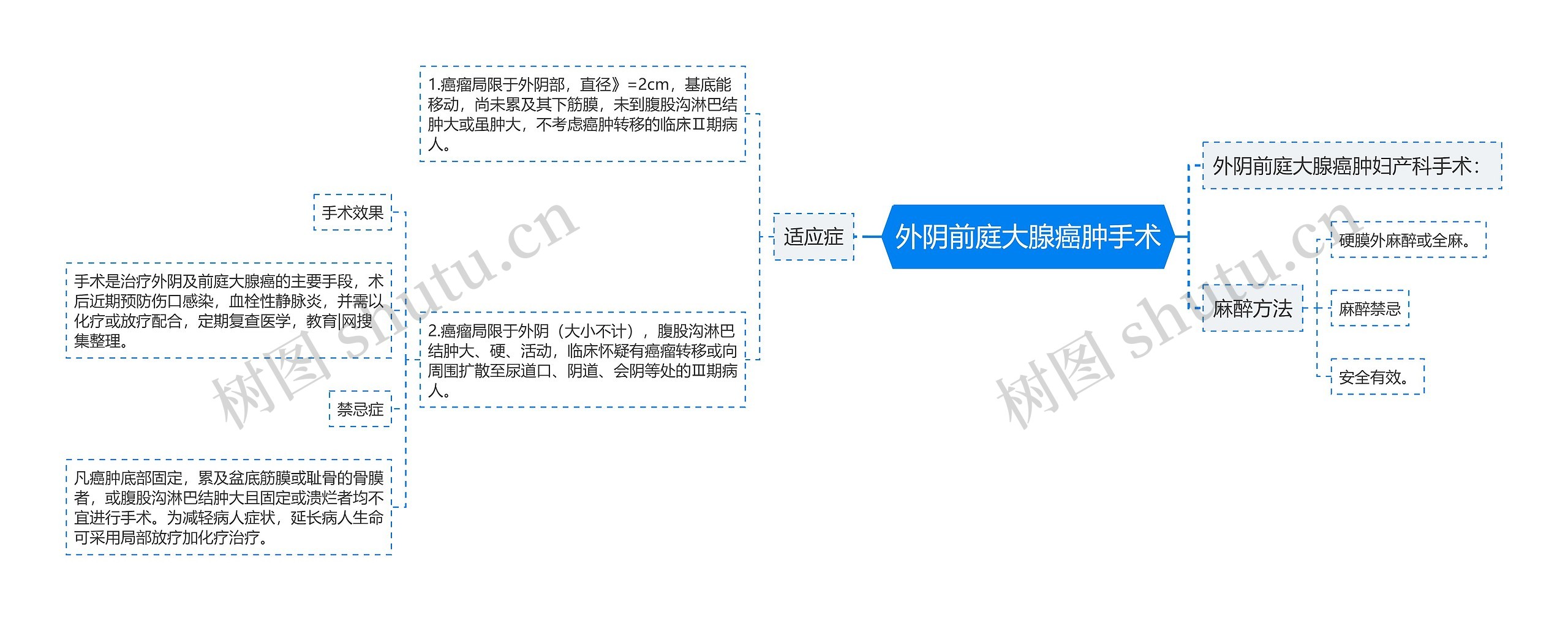 外阴前庭大腺癌肿手术思维导图