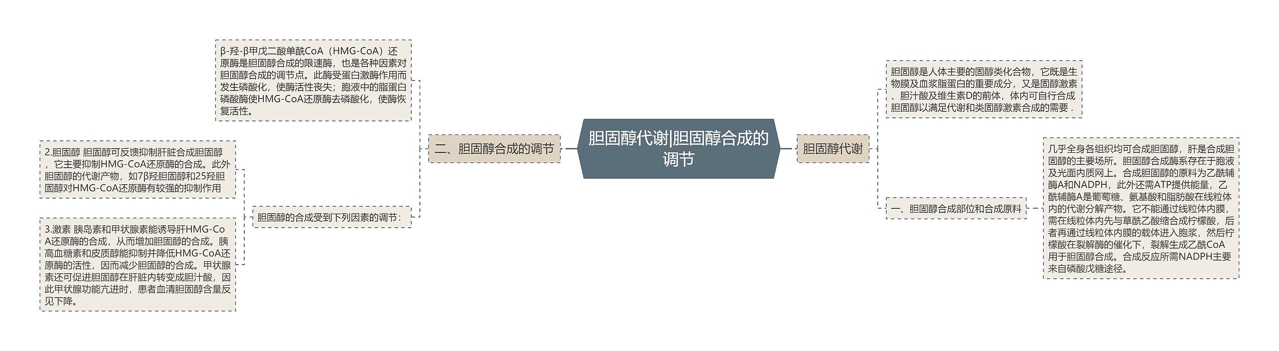 胆固醇代谢|胆固醇合成的调节思维导图