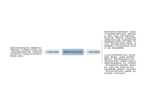 肺牵张反射简述