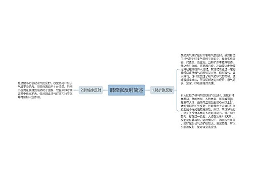 肺牵张反射简述