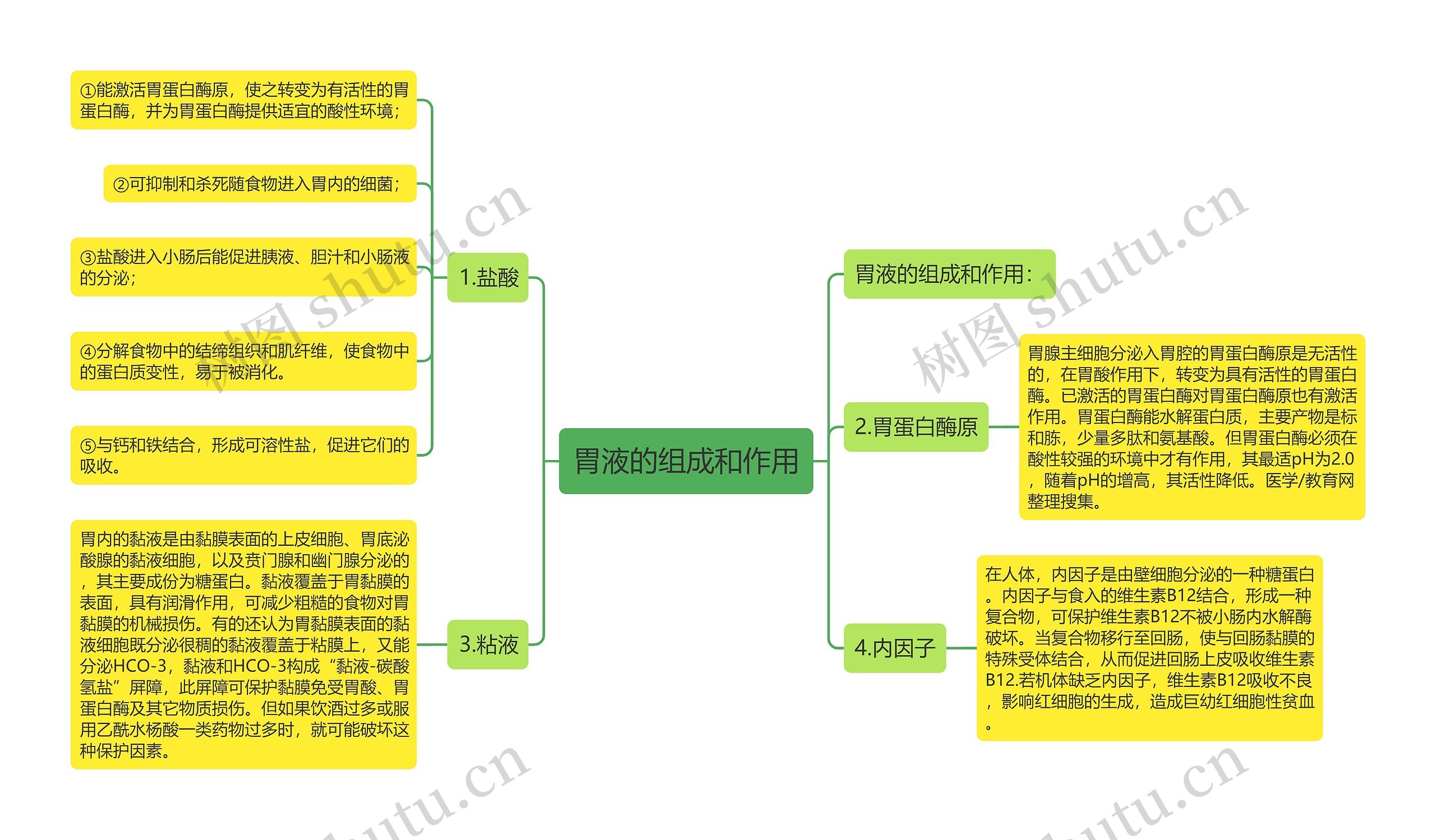 胃液的组成和作用思维导图