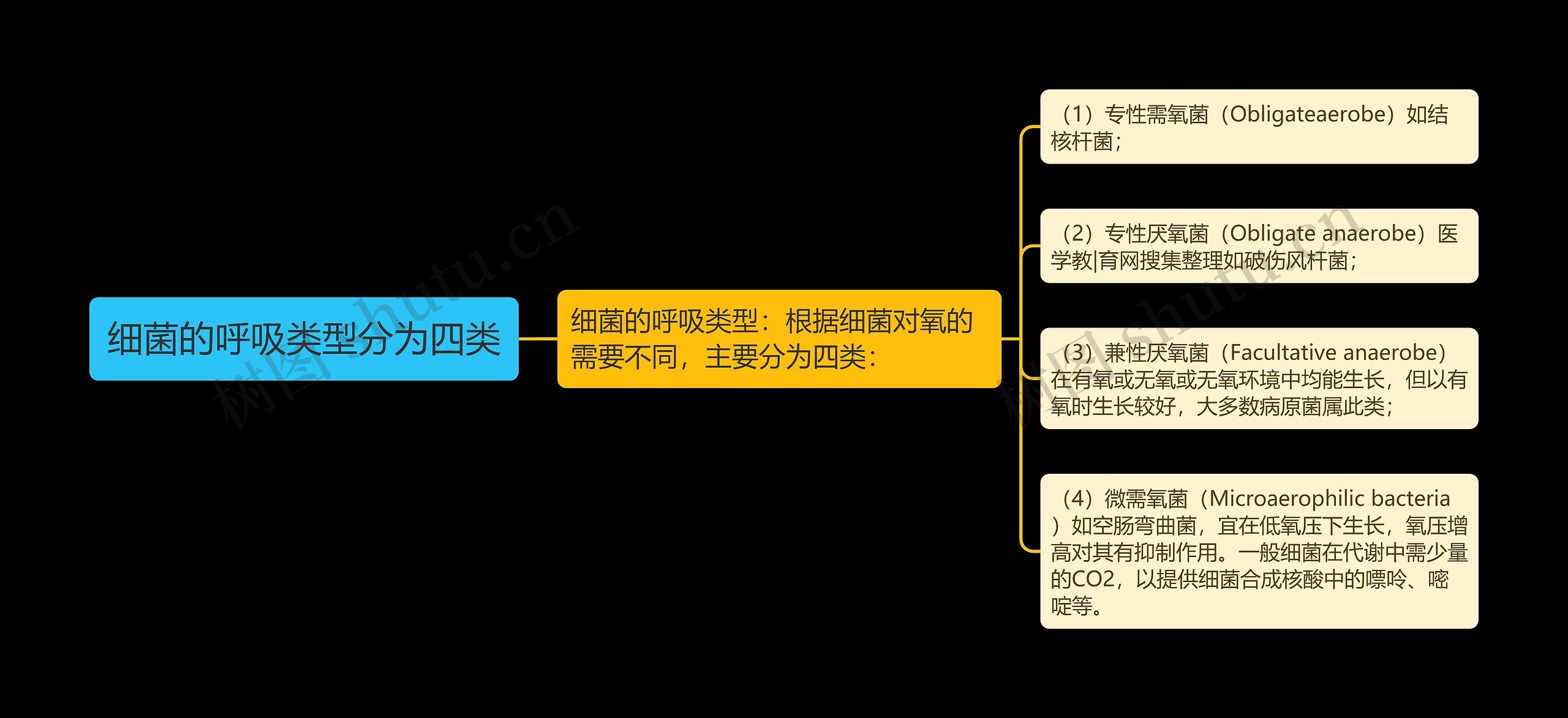 细菌的呼吸类型分为四类