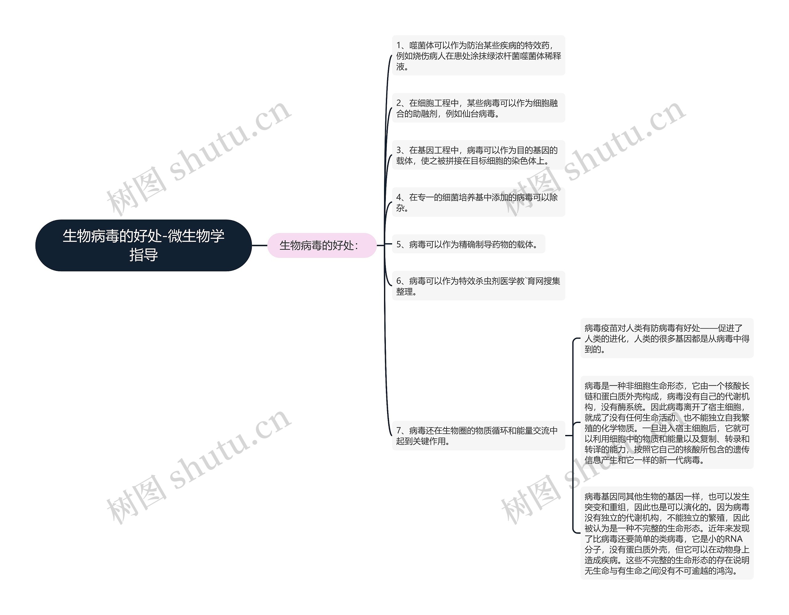 生物病毒的好处-微生物学指导思维导图