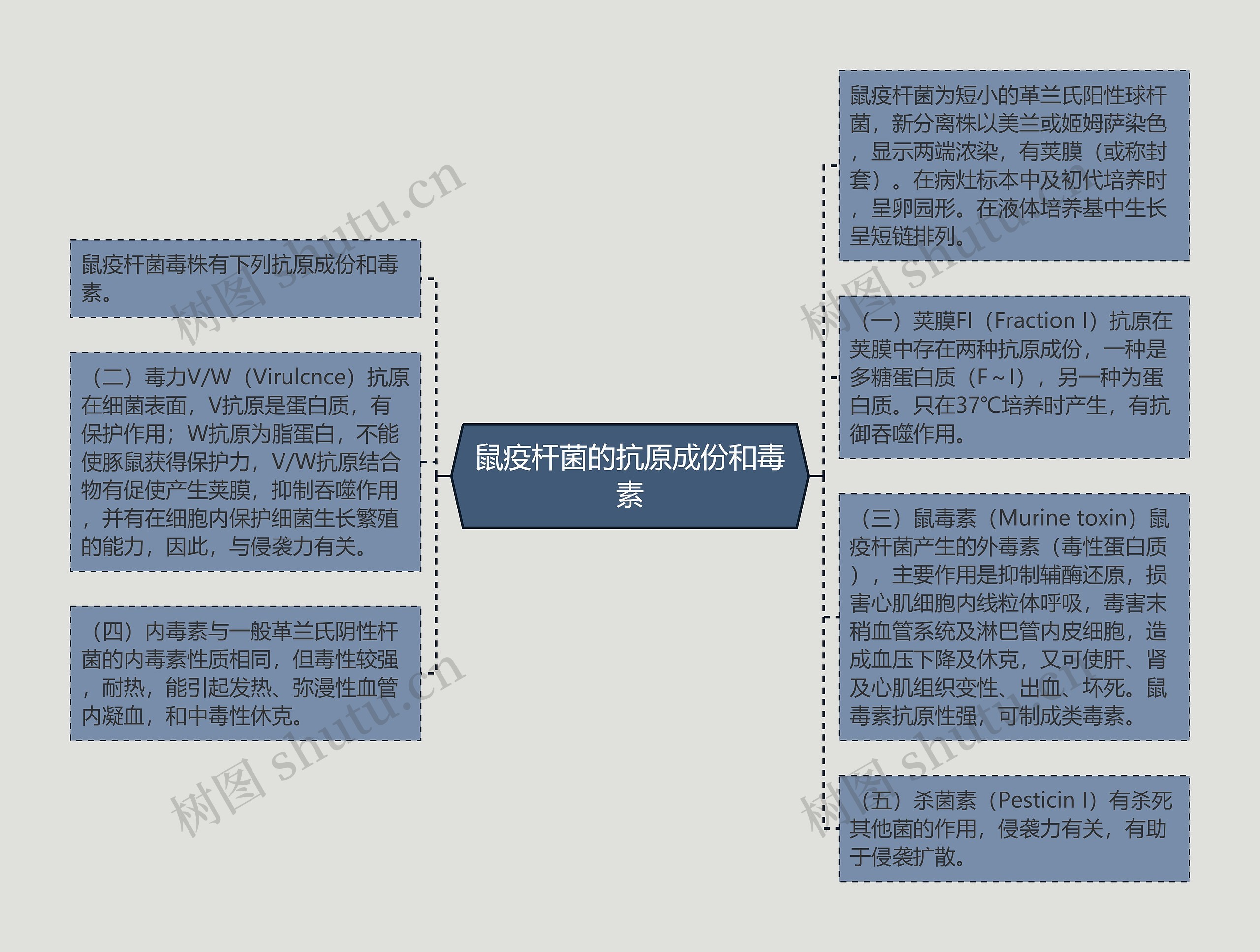 鼠疫杆菌的抗原成份和毒素思维导图