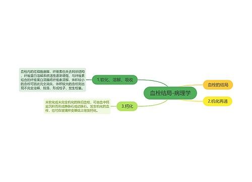 血栓结局-病理学