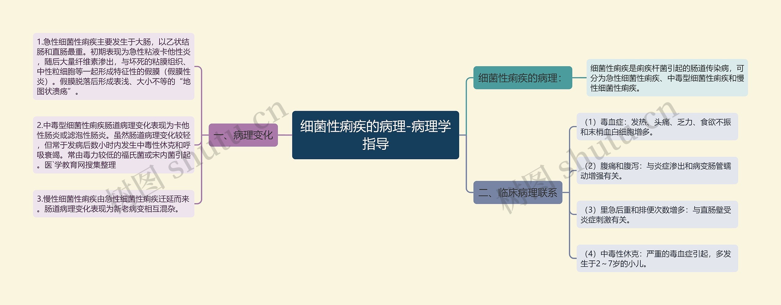 细菌性痢疾的病理-病理学指导思维导图