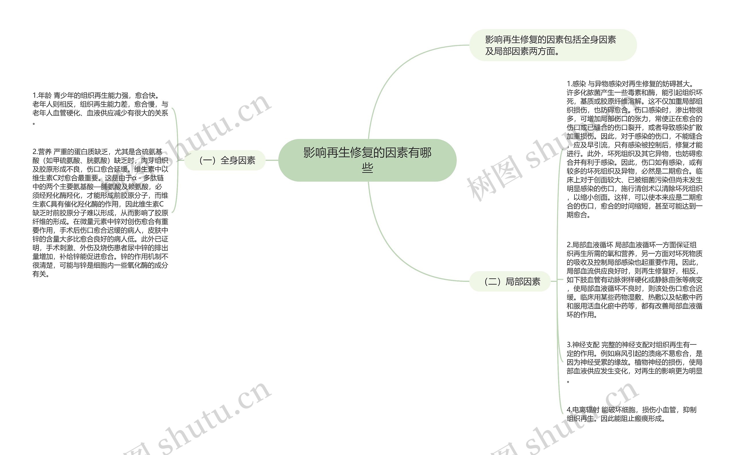 影响再生修复的因素有哪些思维导图