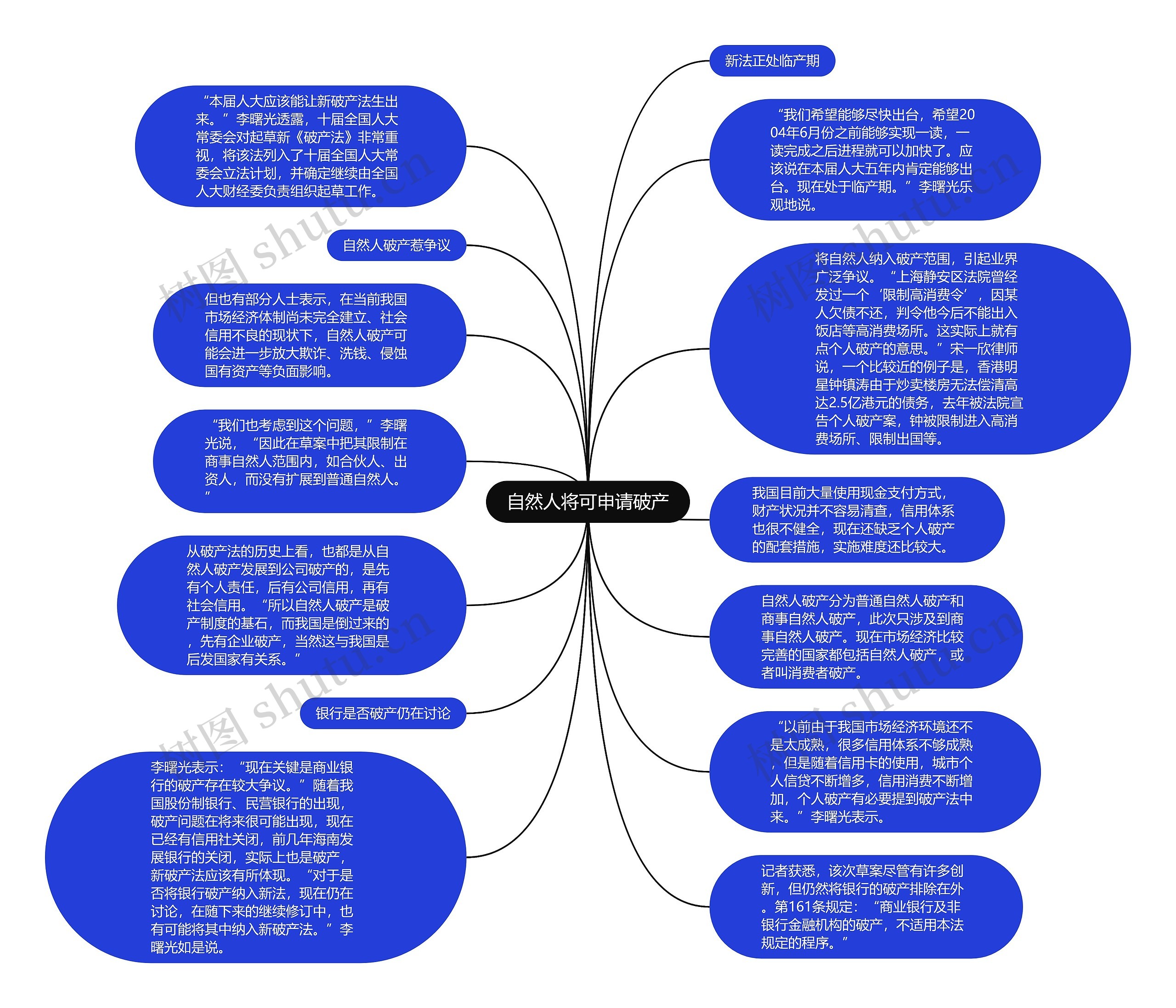 自然人将可申请破产思维导图