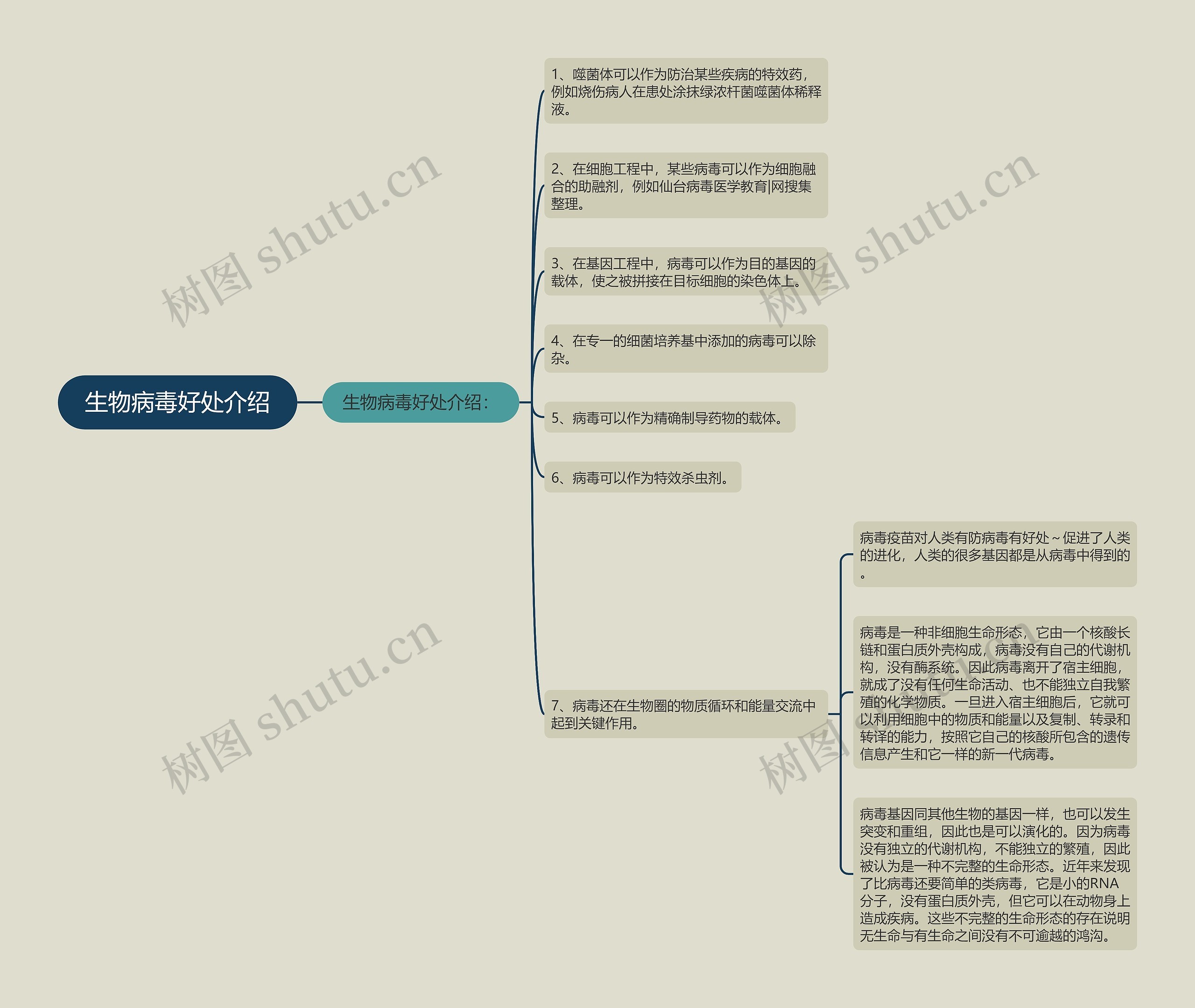 生物病毒好处介绍思维导图