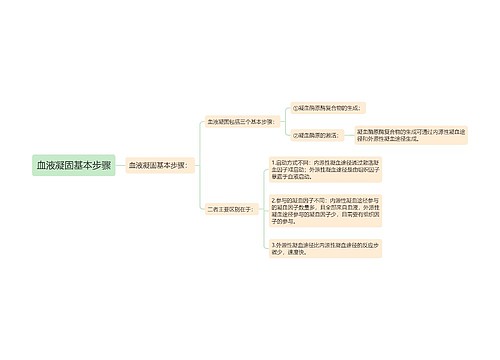 血液凝固基本步骤