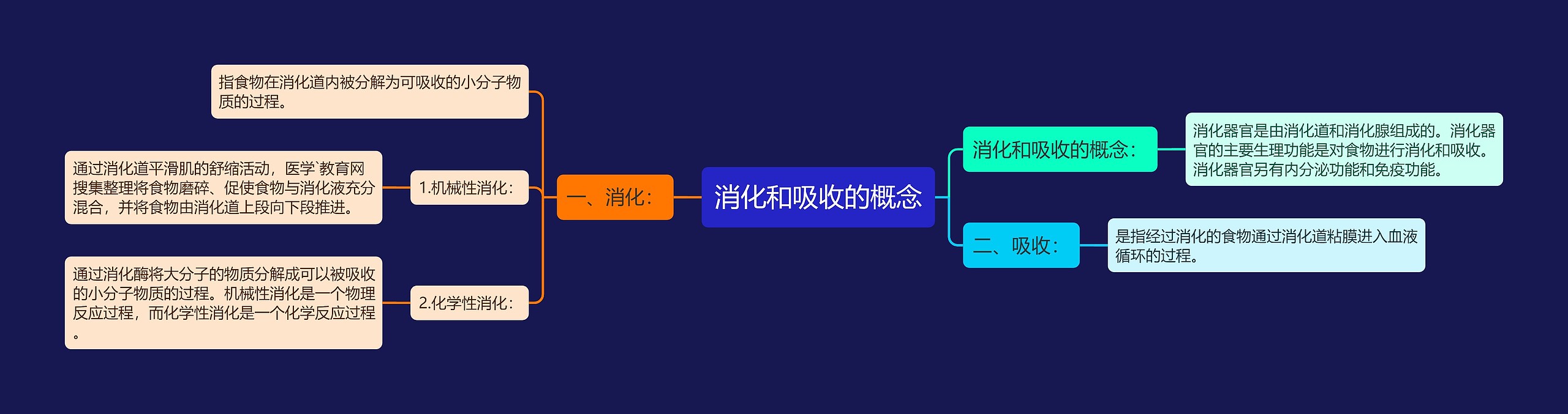 消化和吸收的概念