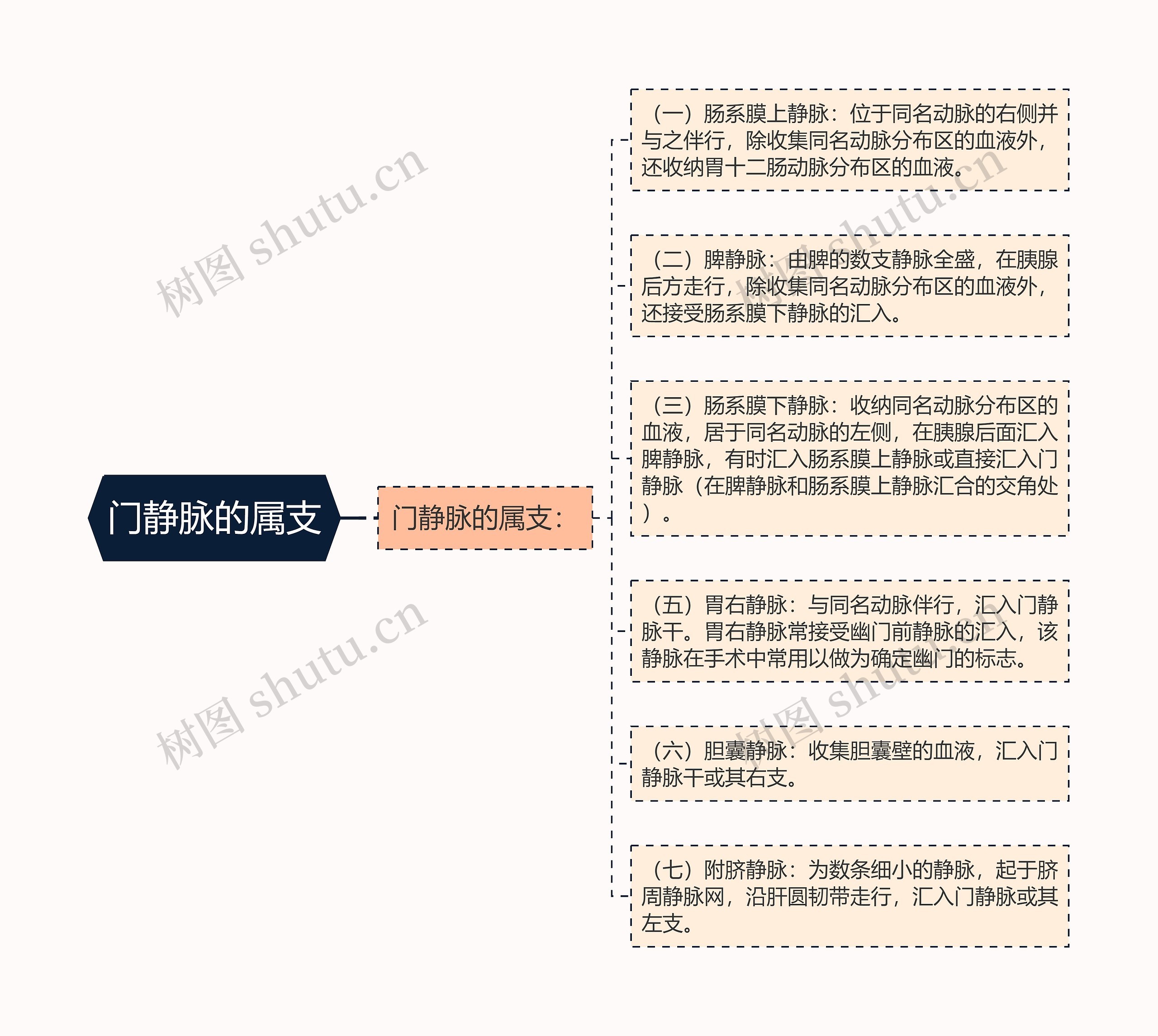 门静脉的属支思维导图