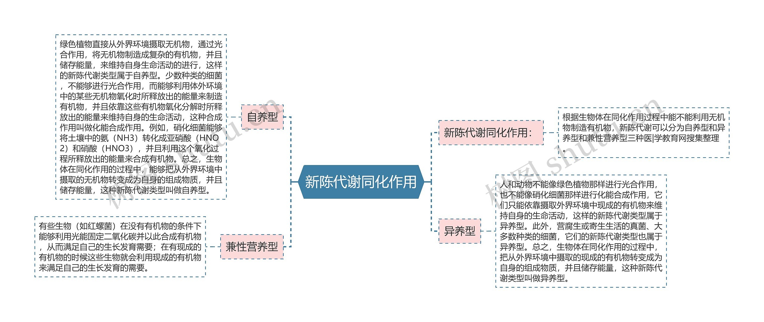 新陈代谢同化作用思维导图