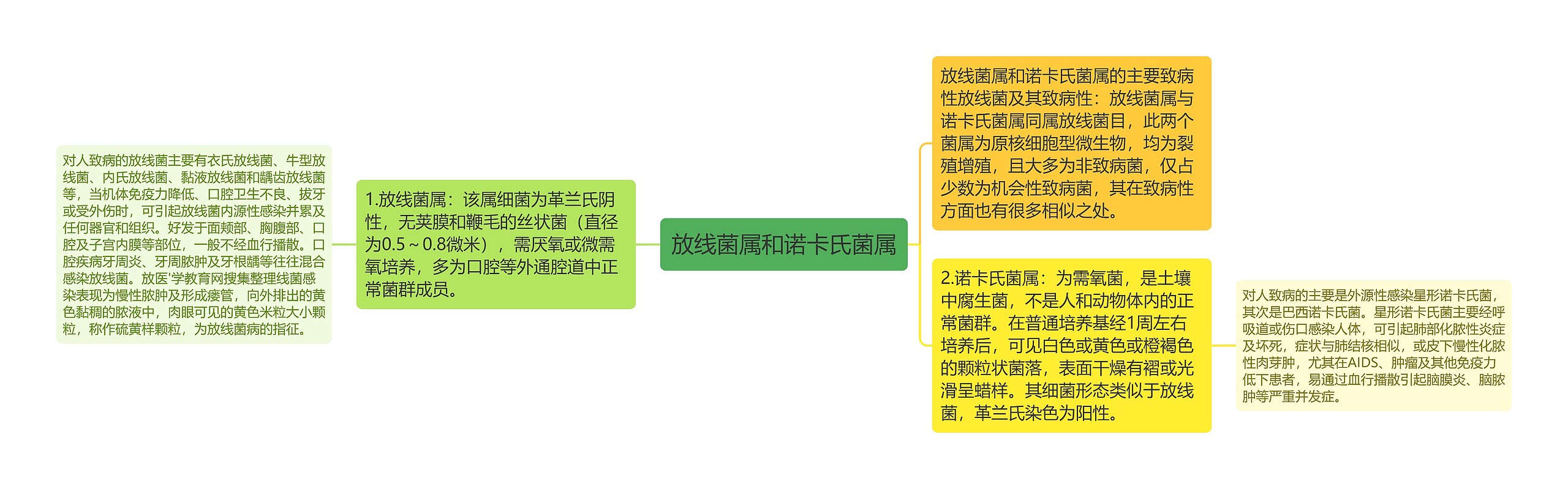 放线菌属和诺卡氏菌属思维导图