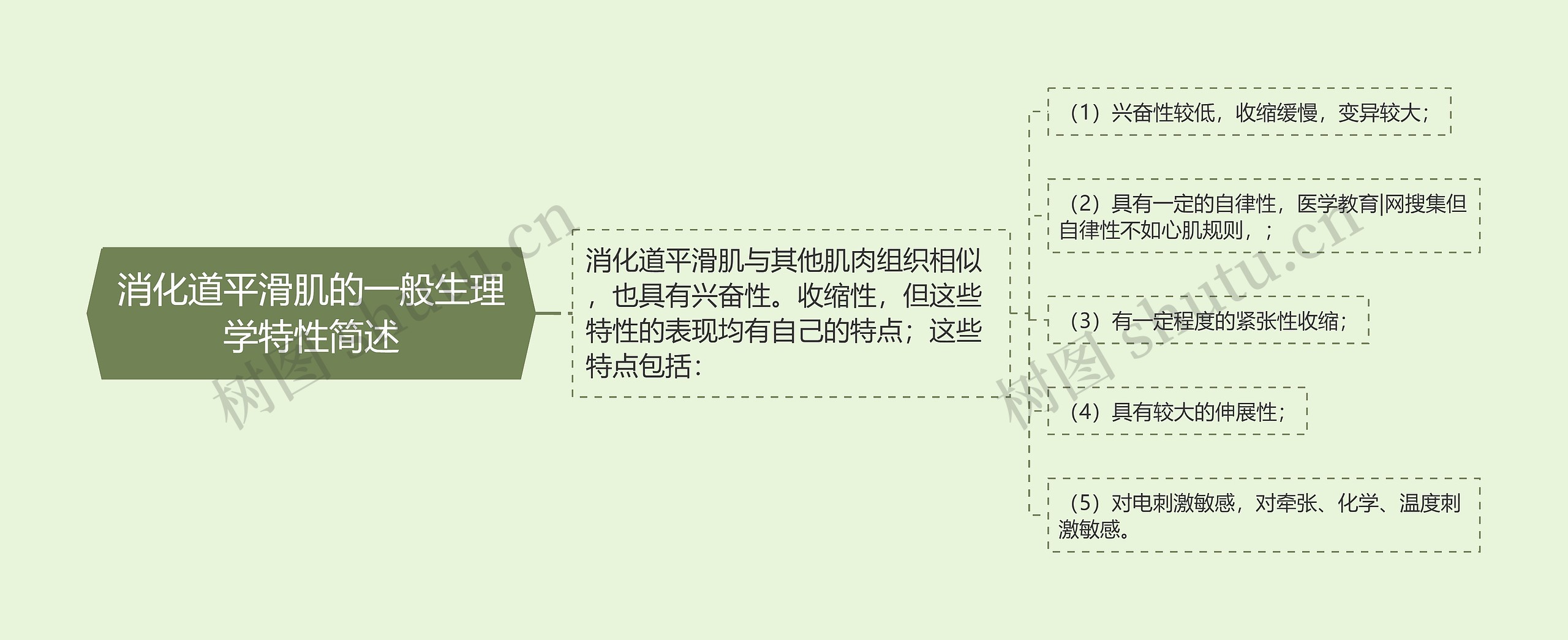 消化道平滑肌的一般生理学特性简述