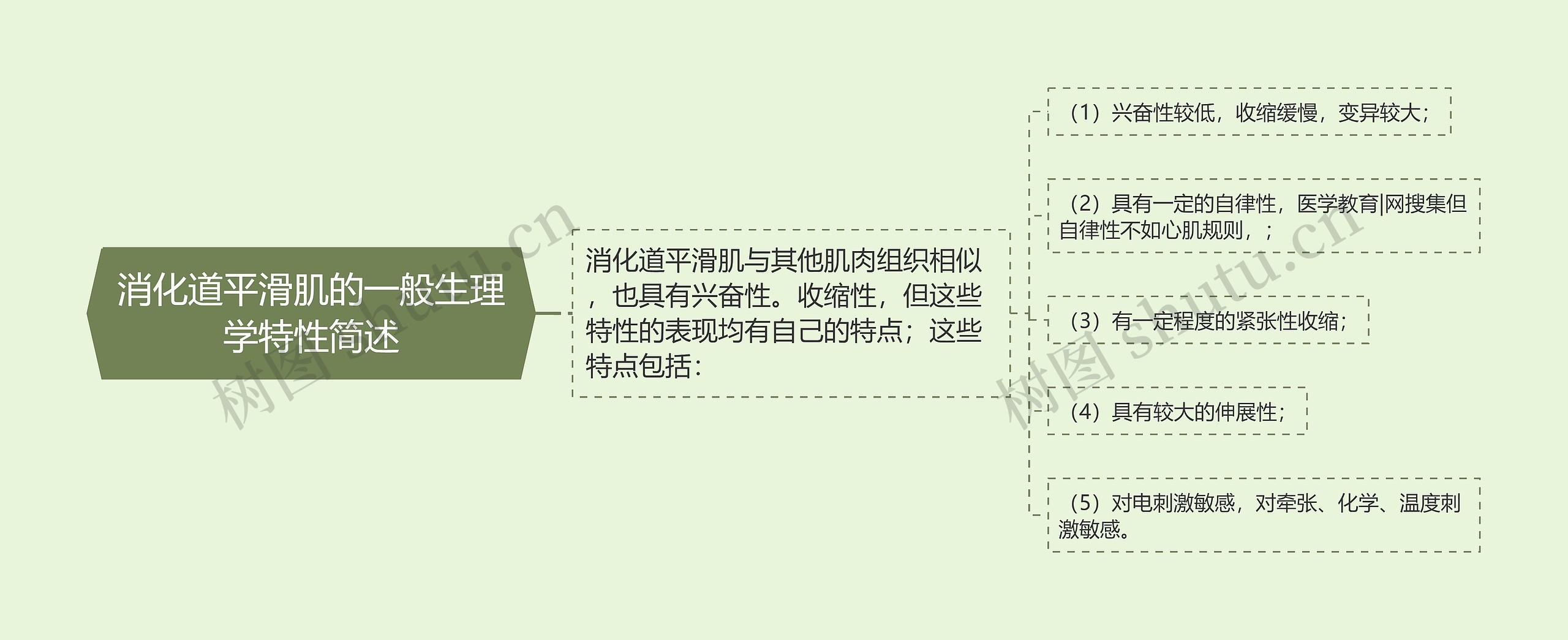 消化道平滑肌的一般生理学特性简述思维导图