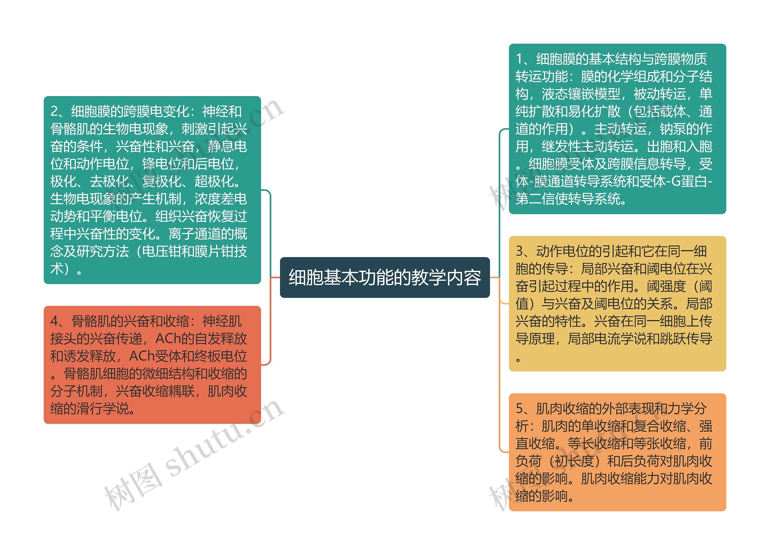 细胞基本功能的教学内容思维导图