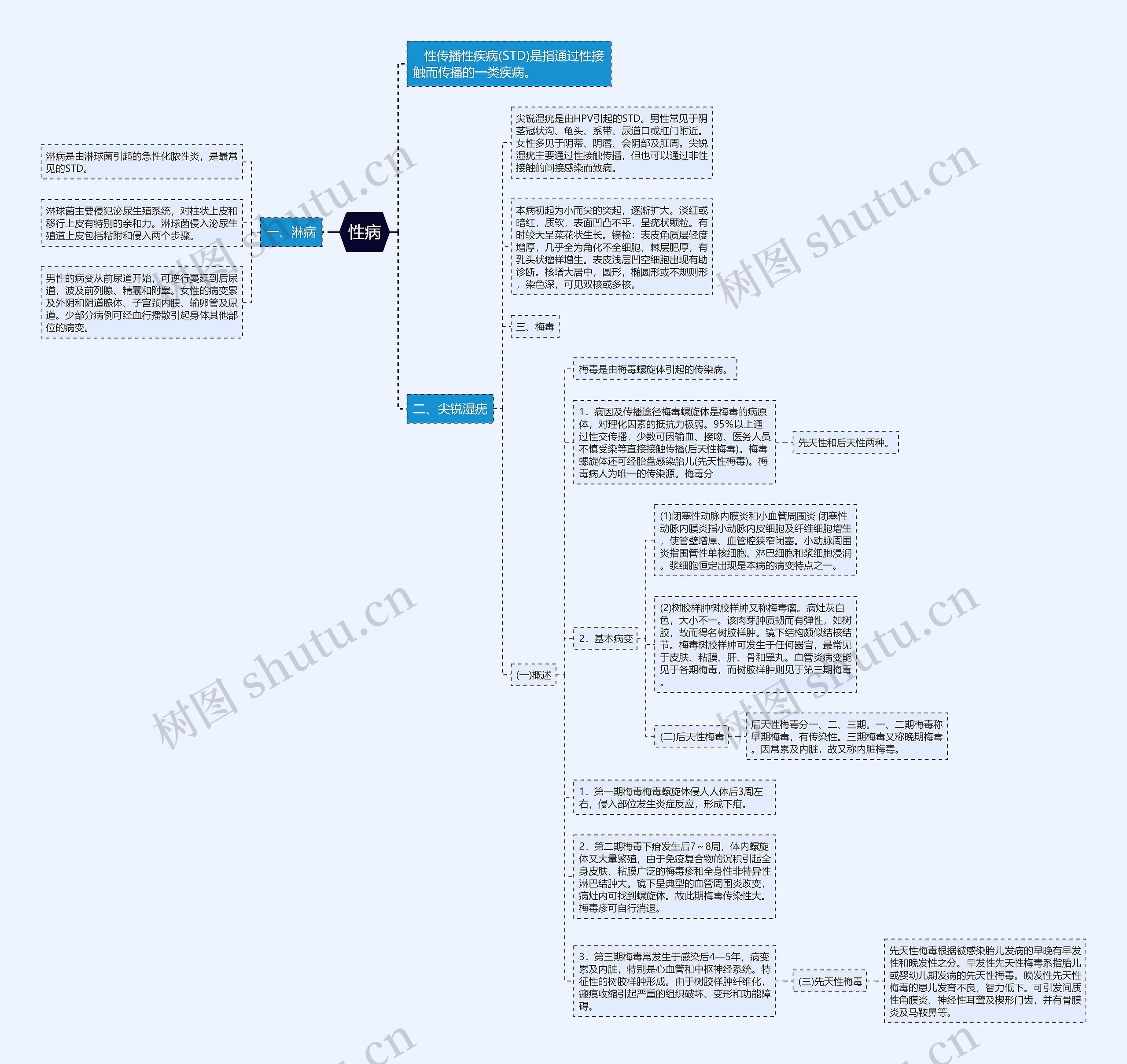 性病思维导图