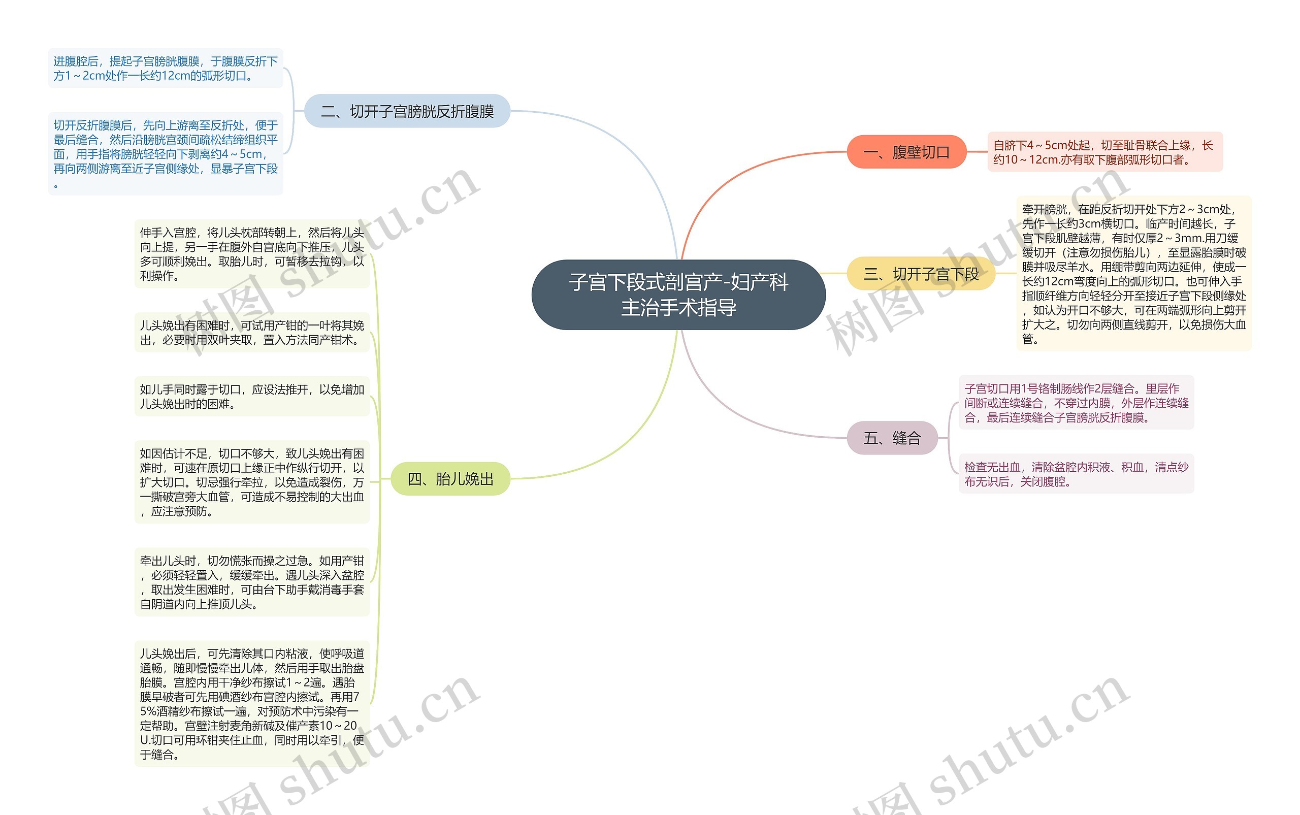 子宫下段式剖宫产-妇产科主治手术指导思维导图