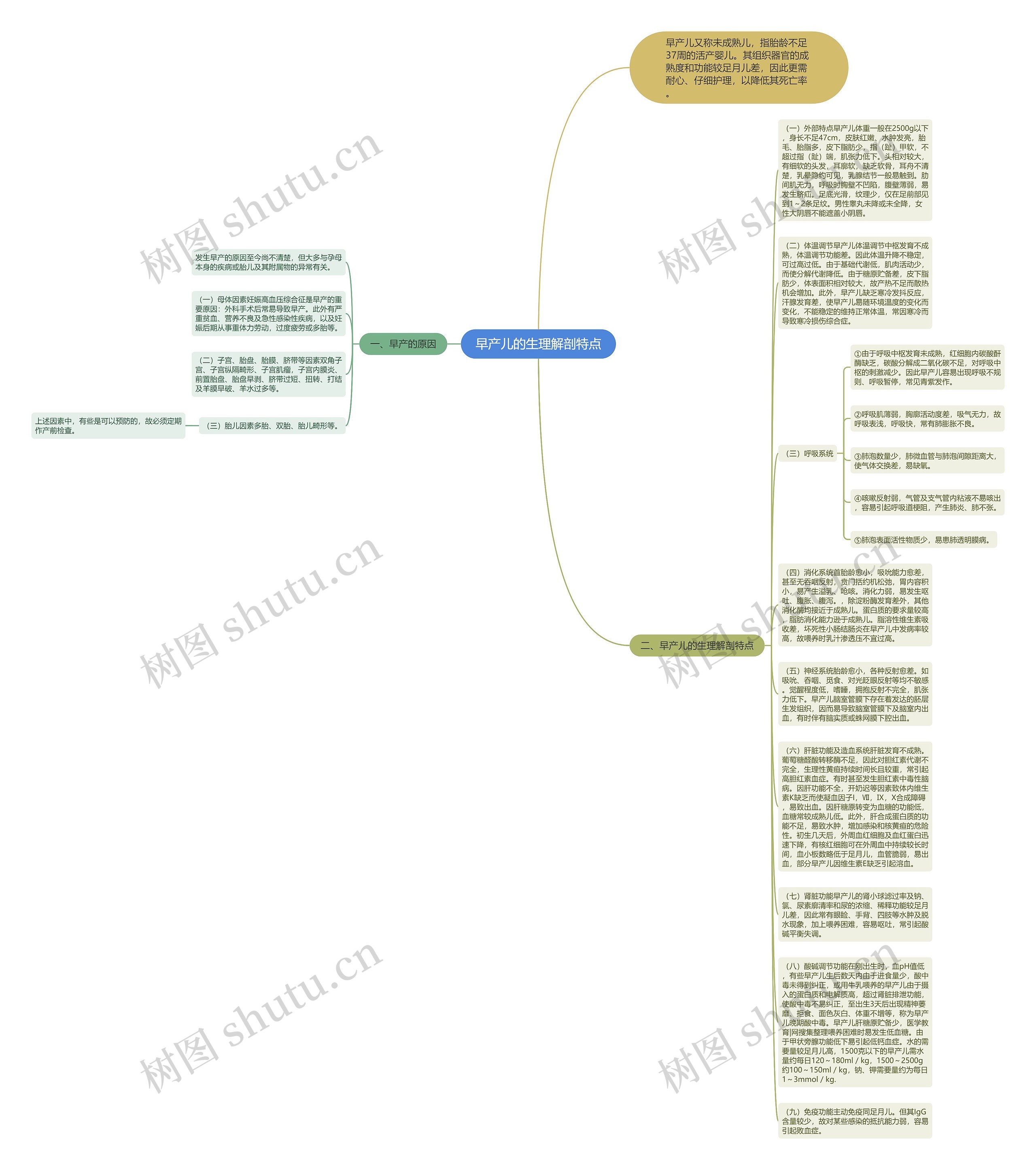 早产儿的生理解剖特点思维导图