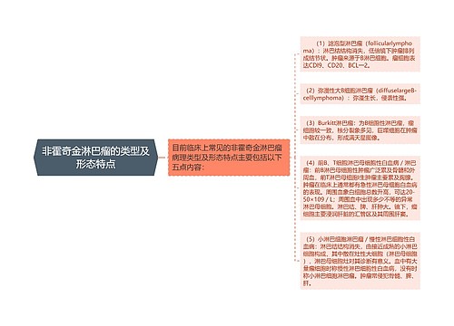 非霍奇金淋巴瘤的类型及形态特点