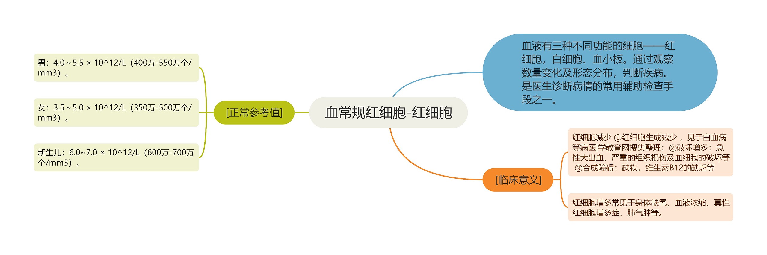 血常规红细胞-红细胞 血常规红细胞-红细胞