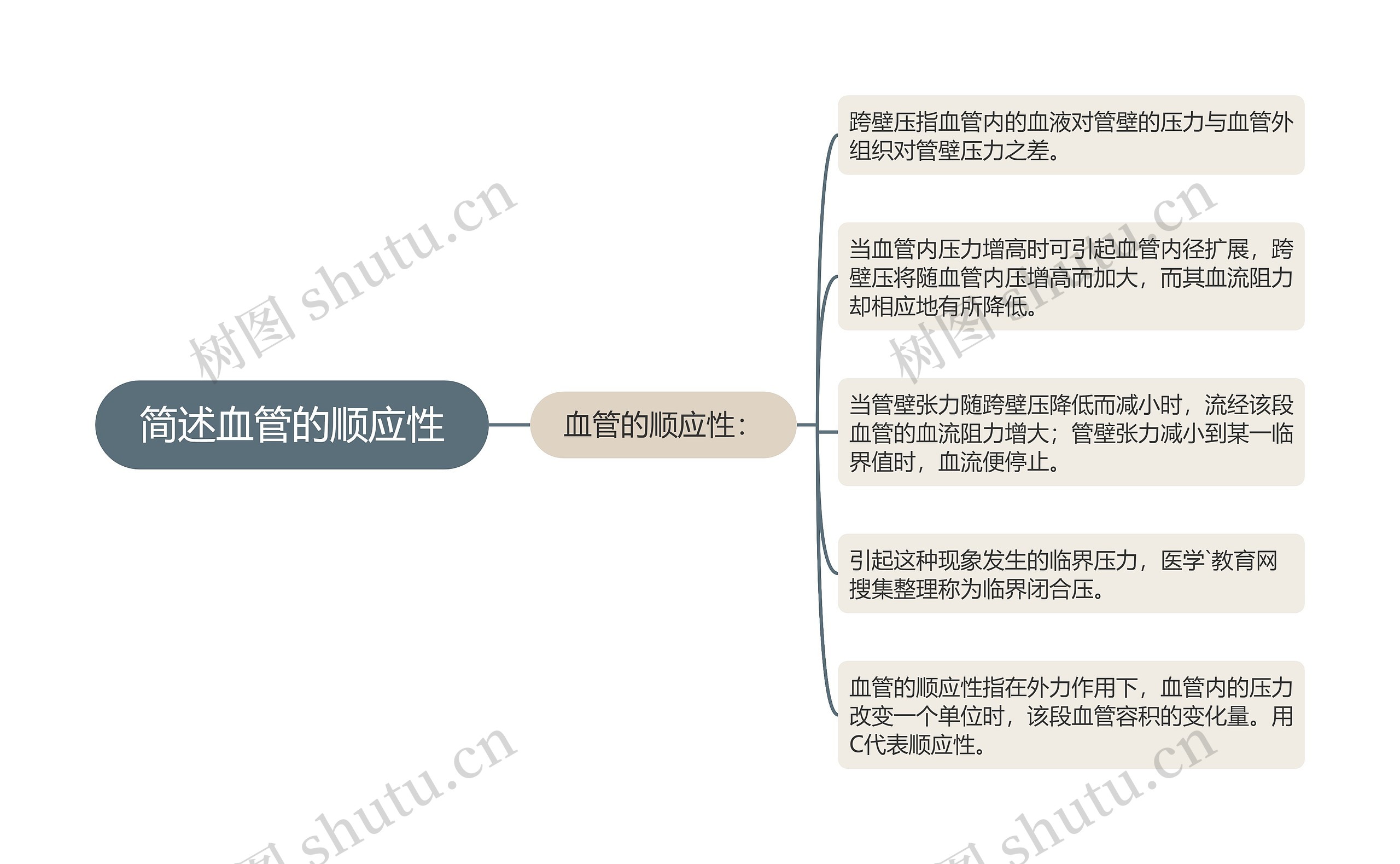 简述血管的顺应性