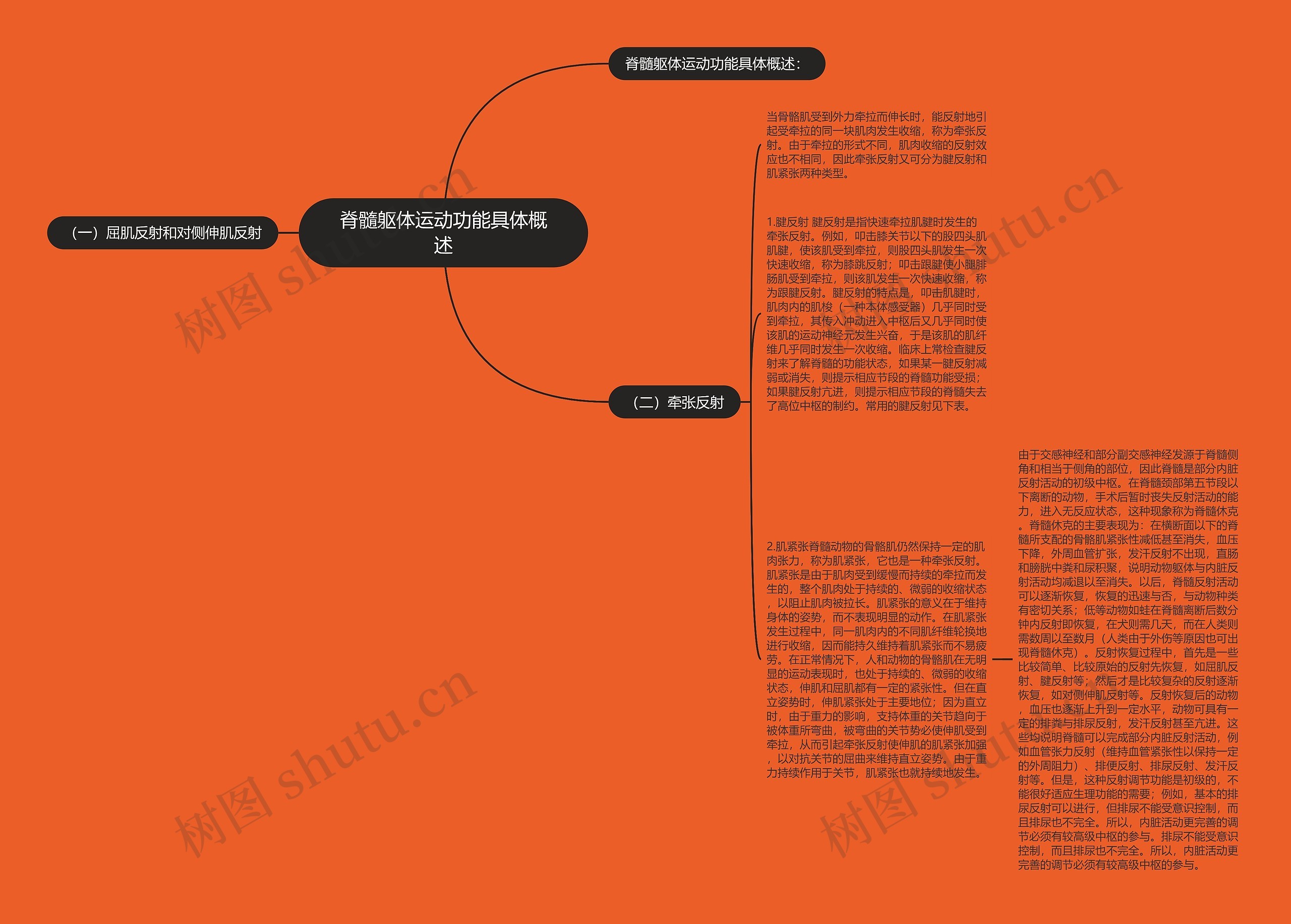 脊髓躯体运动功能具体概述思维导图