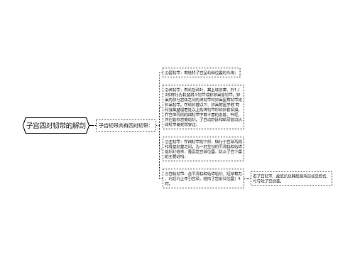 子宫四对韧带的解剖