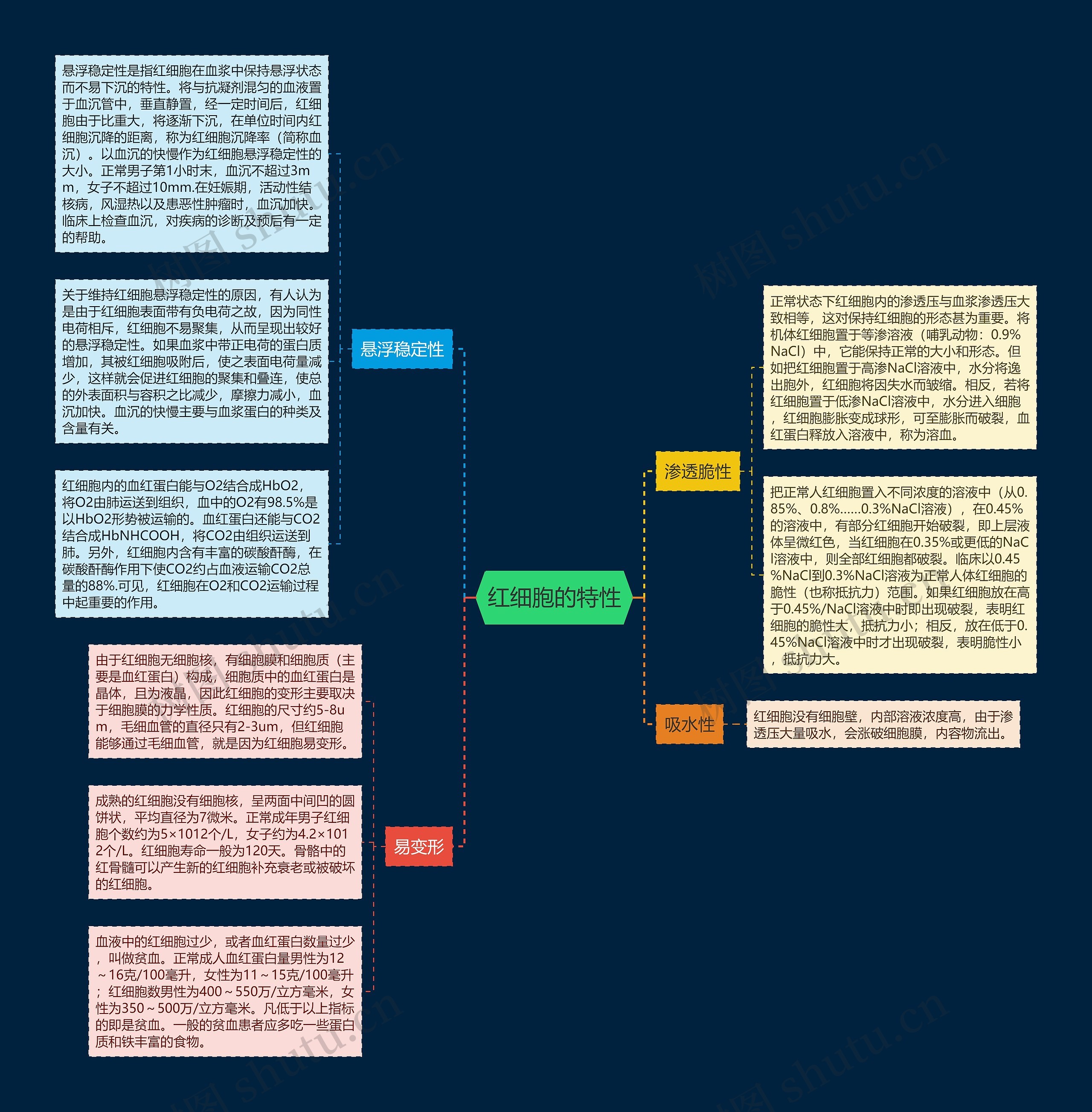 红细胞的特性思维导图