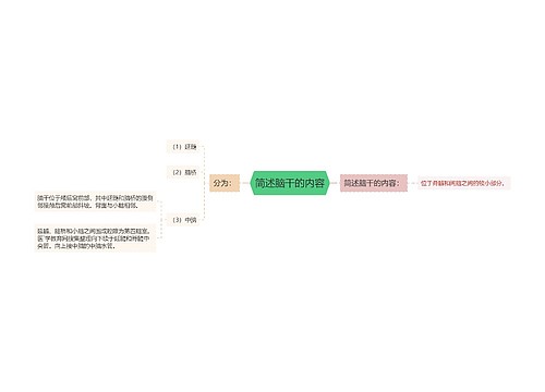 简述脑干的内容