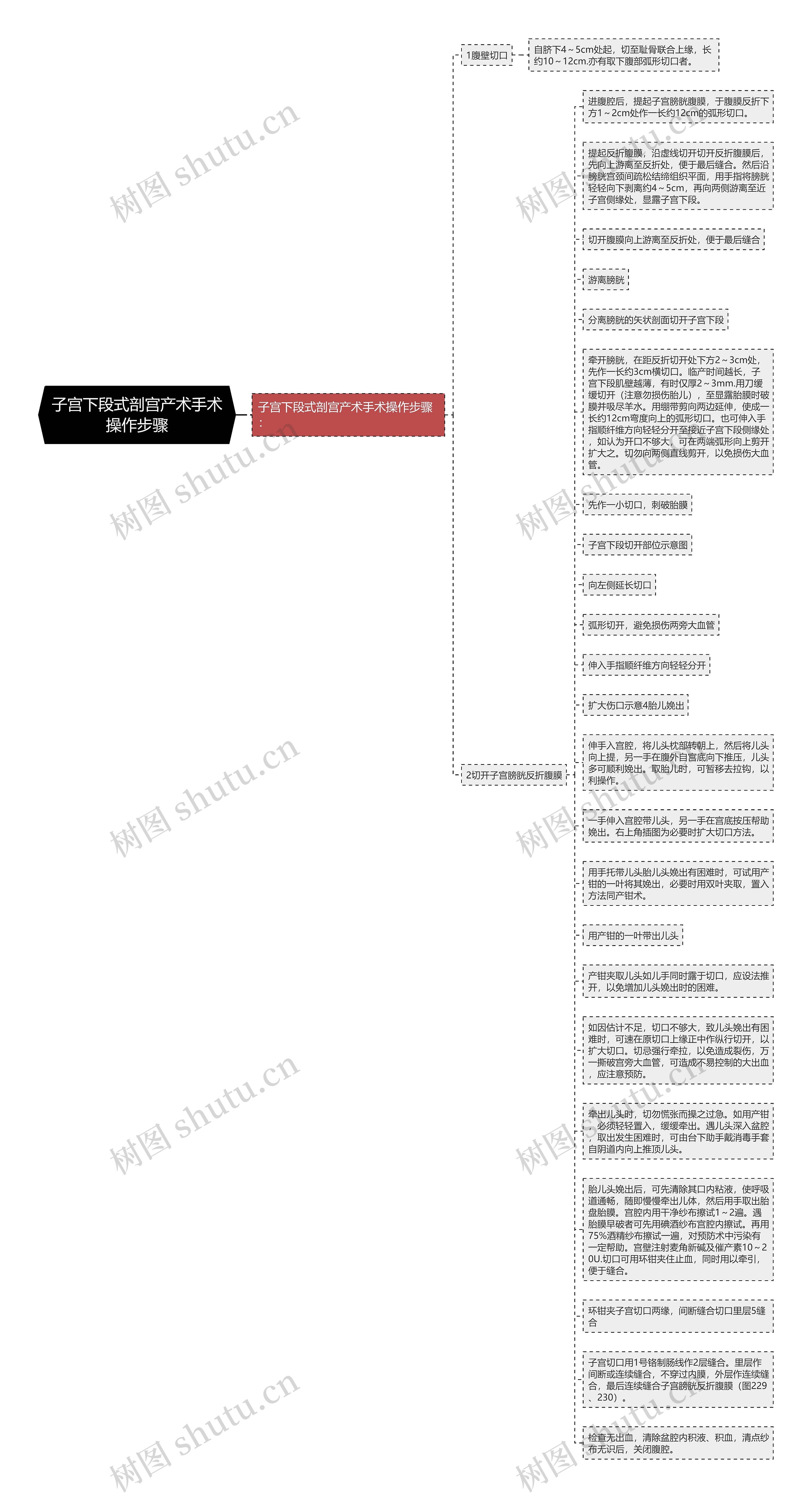 子宫下段式剖宫产术手术操作步骤