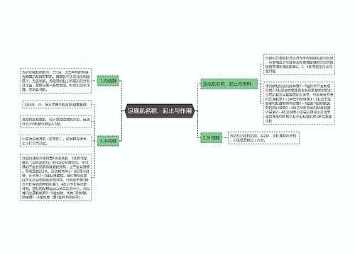 足底肌名称、起止与作用