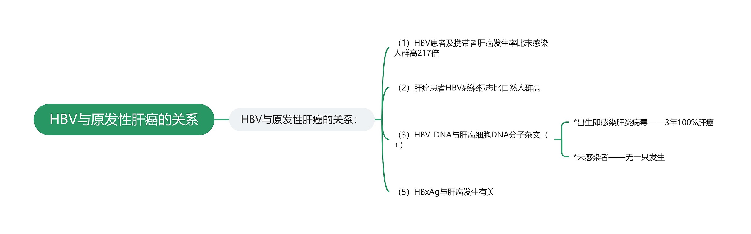 HBV与原发性肝癌的关系思维导图