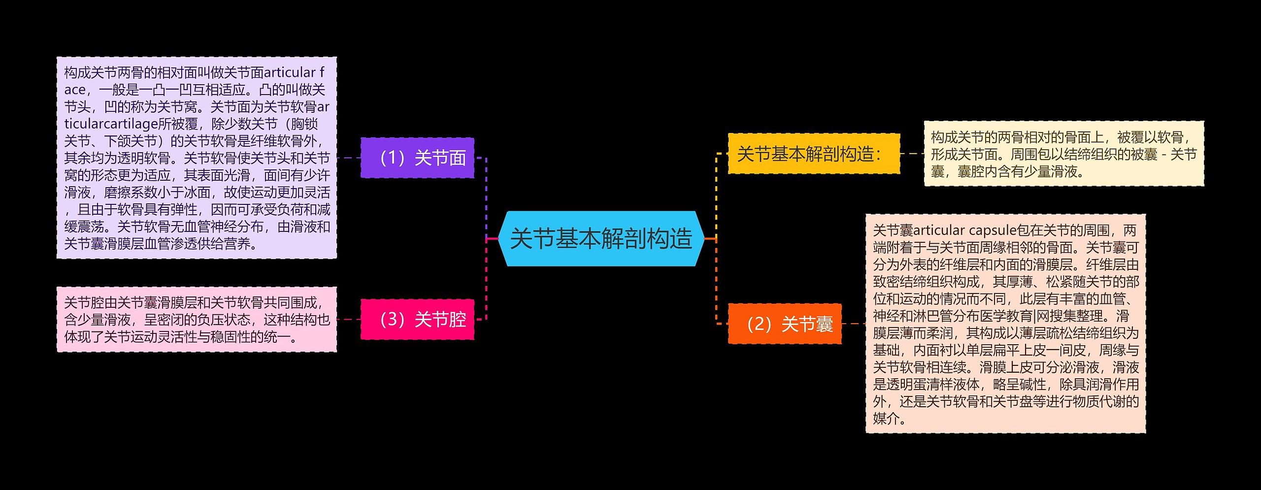 关节基本解剖构造思维导图