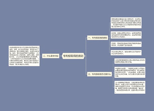 专利权取得的原则