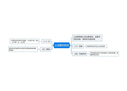 心血管的组成