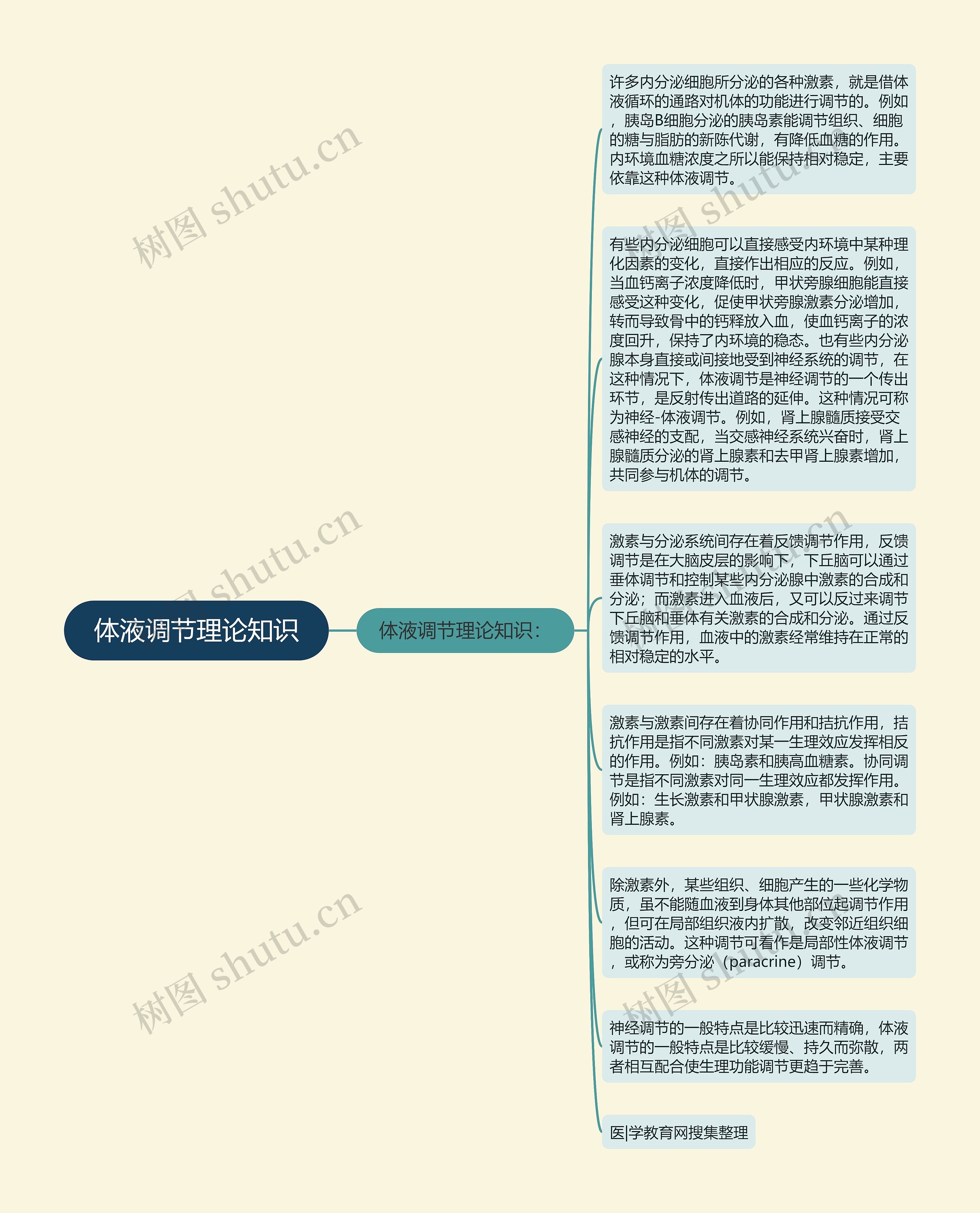 体液调节理论知识思维导图