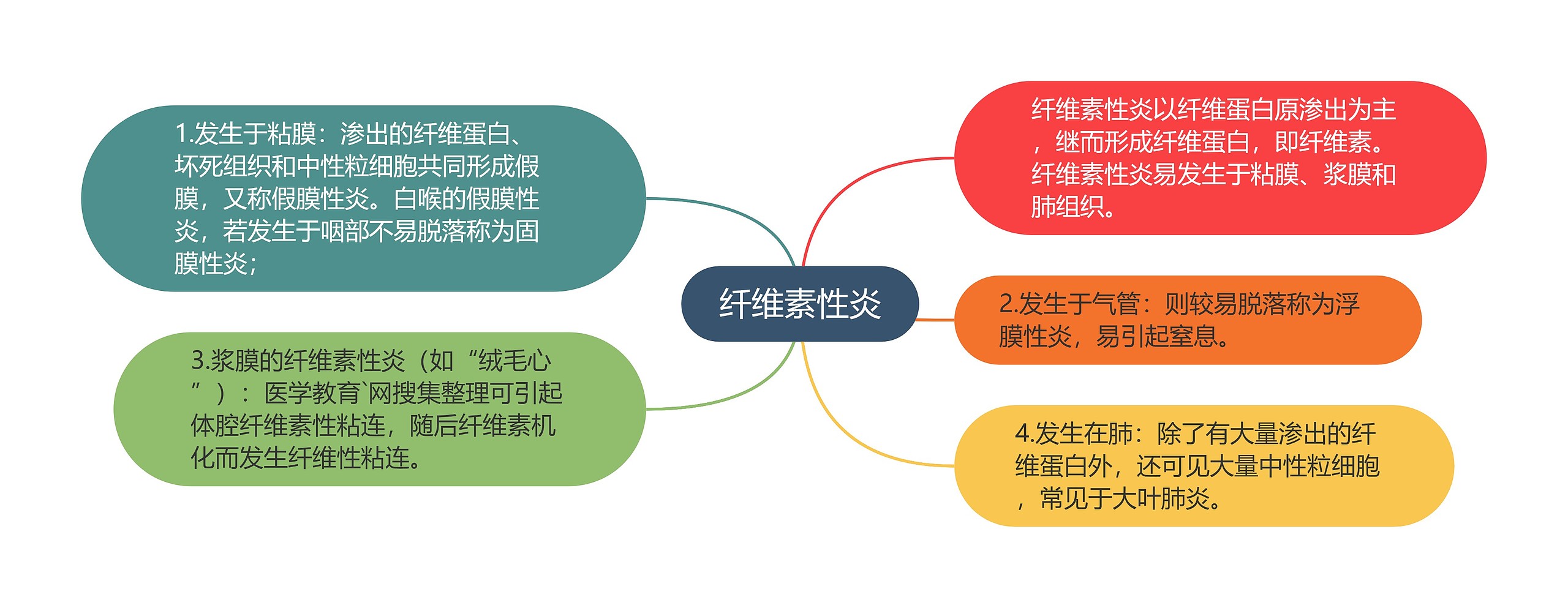 纤维素性炎 纤维素性炎