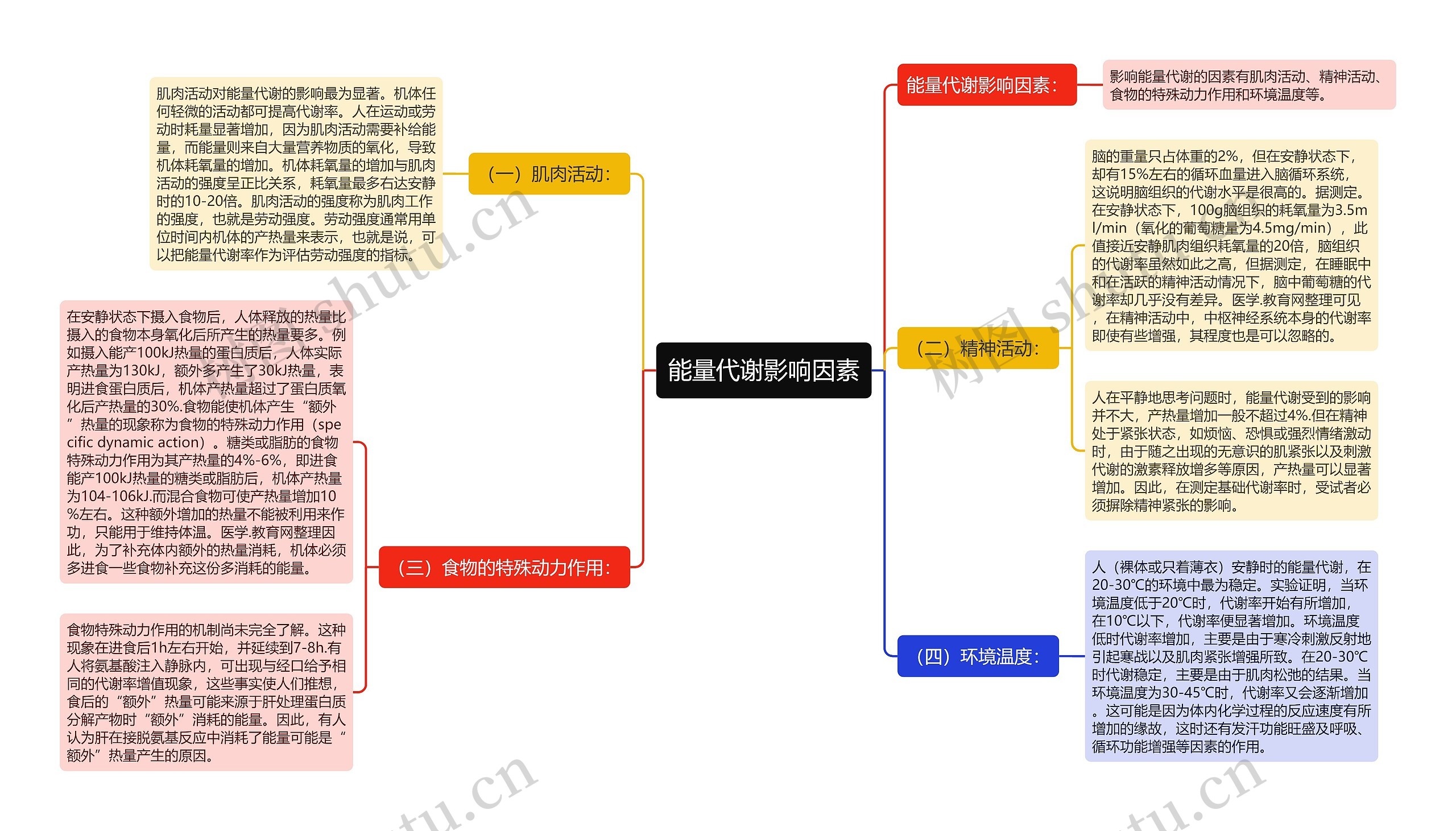 能量代谢影响因素