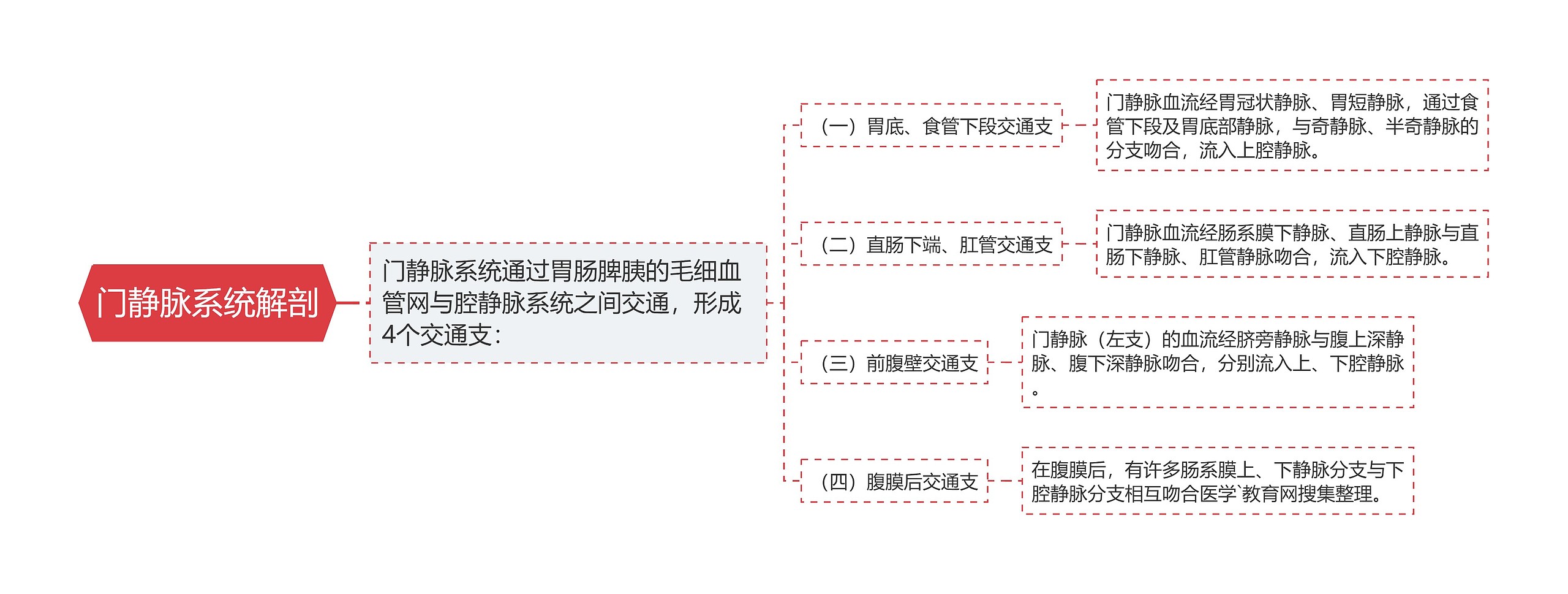 门静脉系统解剖