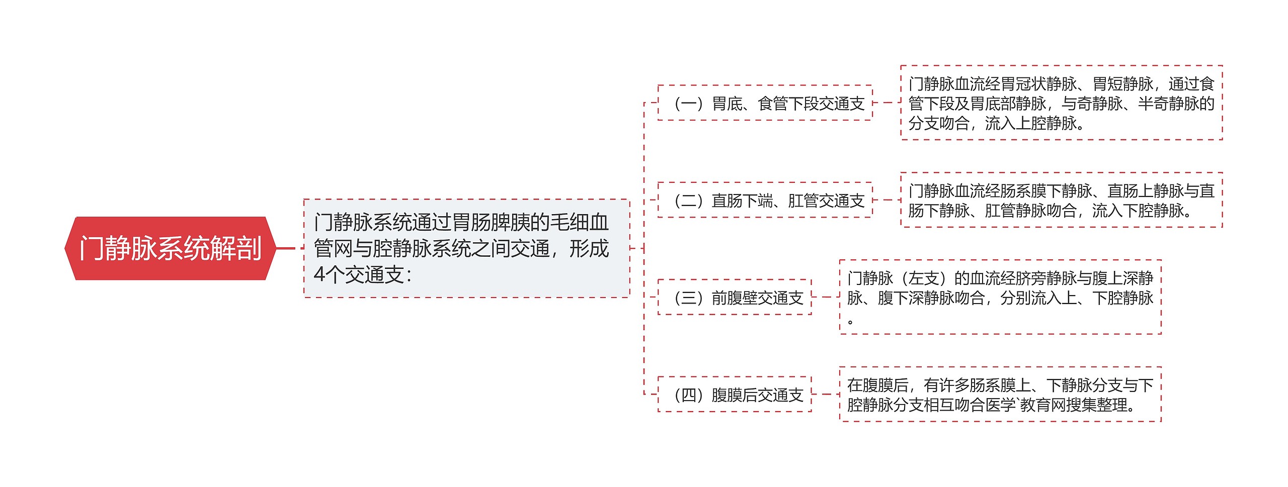 门静脉系统解剖思维导图