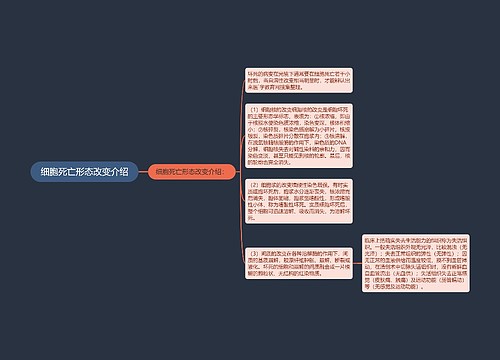 细胞死亡形态改变介绍