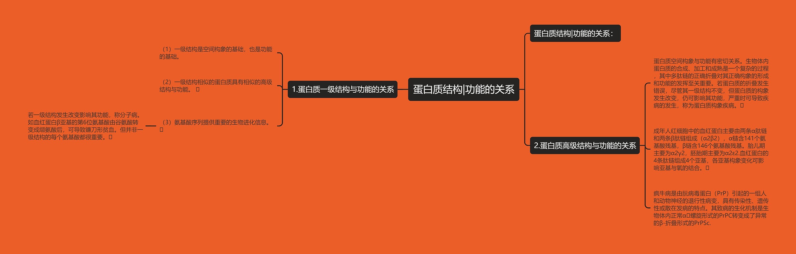 蛋白质结构|功能的关系 蛋白质结构|功能的关系