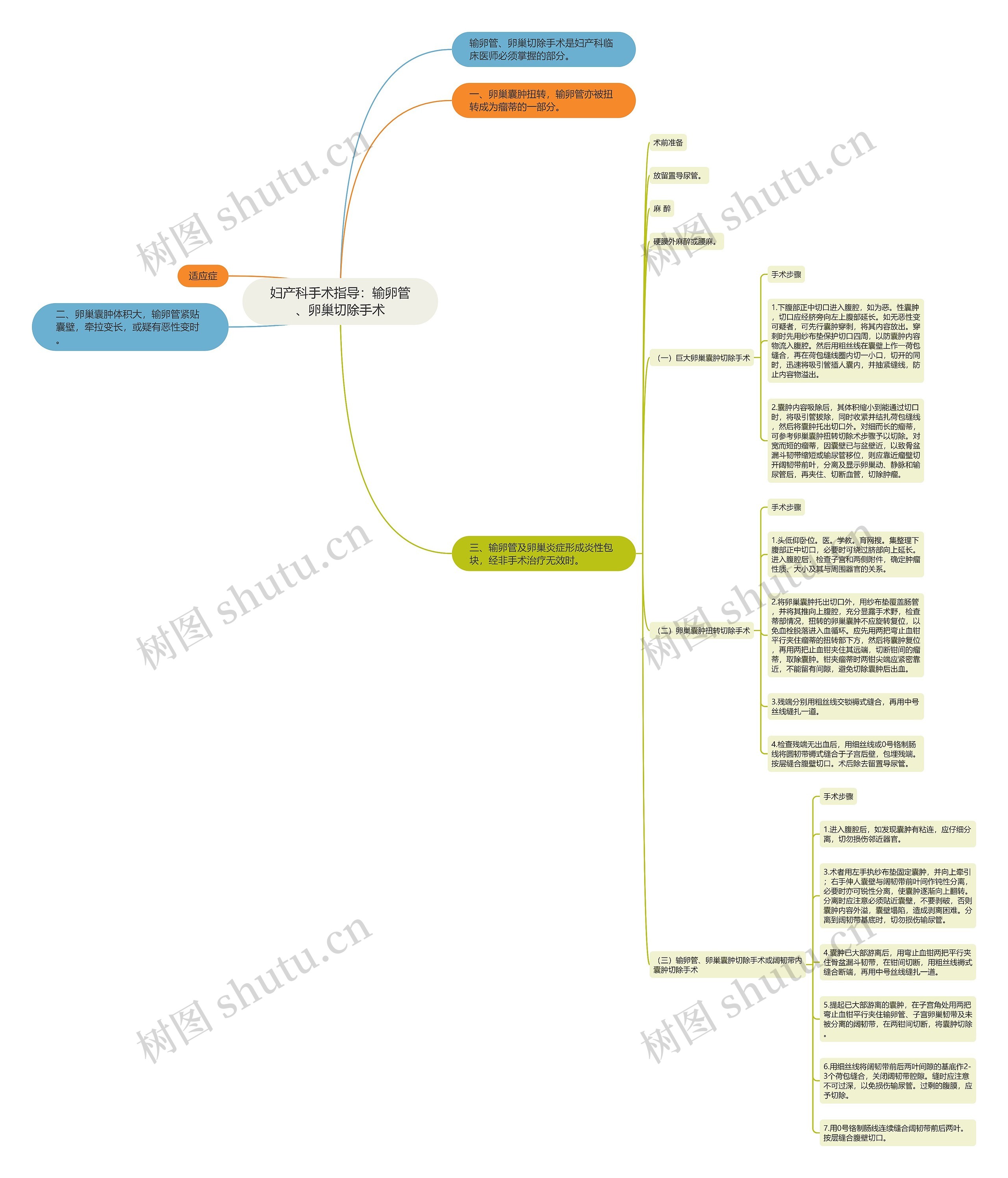 妇产科手术指导：输卵管、卵巢切除手术思维导图